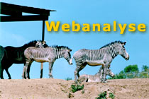 Zebras - Webanalyse